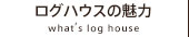 ログハウスの魅力